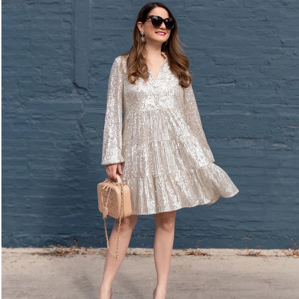 NWT SAIL TO SABLE CHARLOTTE SEQUIN DRESS - SILVER